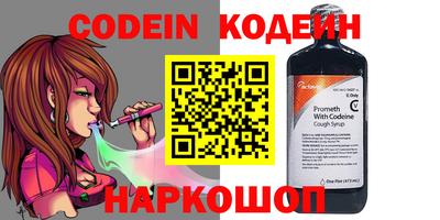 крисы Славгород
