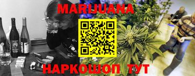 крисы Славгород
