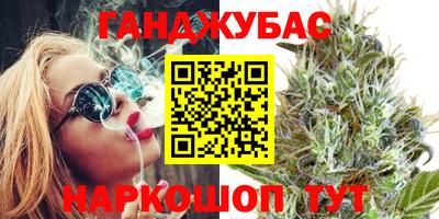 крисы Славгород