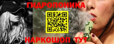 крисы Славгород