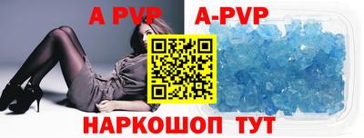 крисы Славгород
