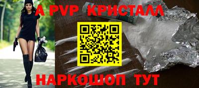 крисы Славгород
