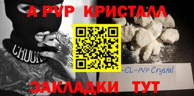 крисы Славгород