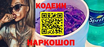 крисы Славгород