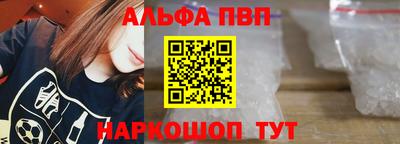 крисы Славгород