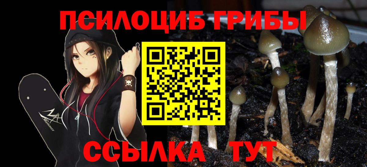 Галлюциногенные грибы Cubensis Похвистнево