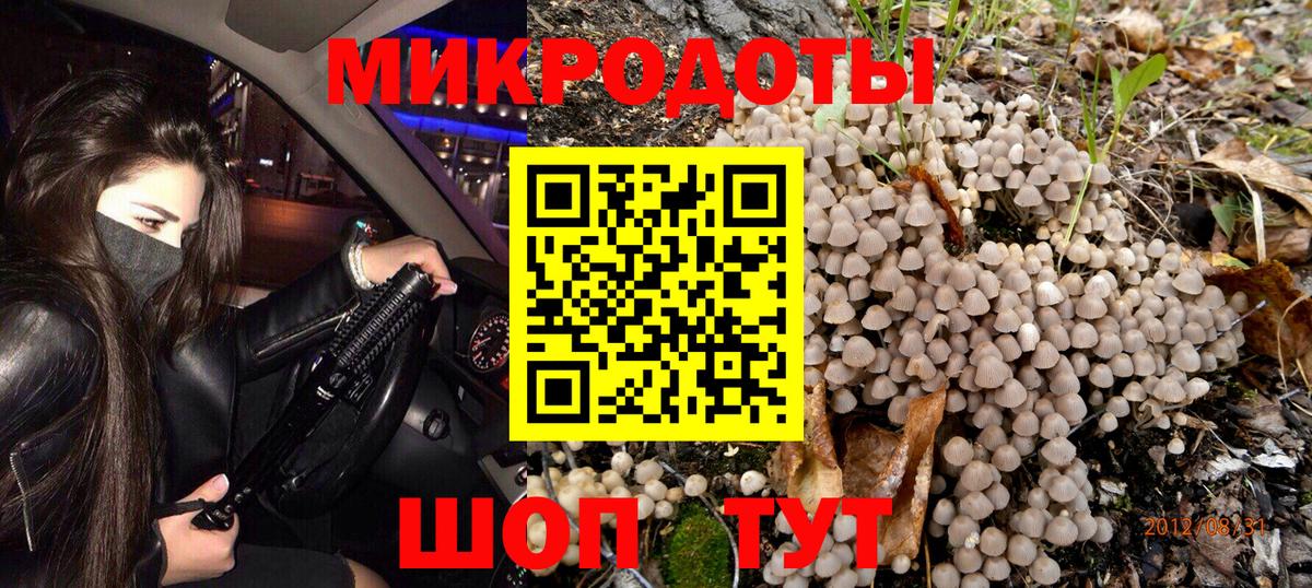 Похвистнево  Псилоцибиновые грибы MAGIC MUSHROOMS  Вход с VPN 